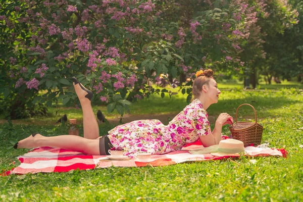 Kochanie Uroczy Pinup Dziewczyna Letniej Sukni Koc Kratkę Parku Pobliżu — Zdjęcie stockowe