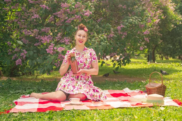 Liefje Charmant Pinup Meisje Een Zomer Jurk Een Geruite Deken — Stockfoto