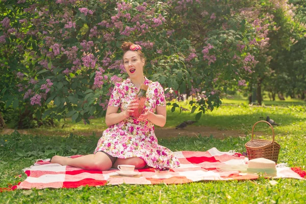 Älskling Charmig Pinup Flicka Sommarklänning Rutig Filt Parken Nära Buskar — Stockfoto