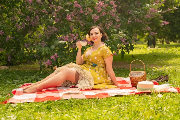 かわいいプラスサイズの白人の女の子はかわいいヴィンテージ黄色のドレスを着て 緑の草の上に夏の公園で休暇を楽しんでいます レトロなドレスで曲線ピンナップの女性はライラックの近くの自然に休息を持っています — ストック写真