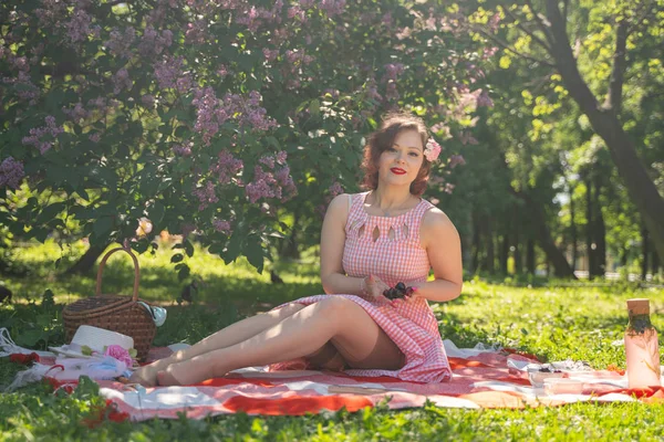 Encantadora Chica Pinup Disfruta Descanso Picnic Hierba Verde Verano Bastante —  Fotos de Stock