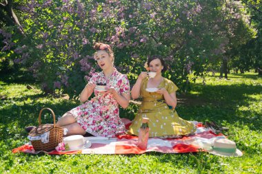 birlikte güneşli bir günde şehir parkında güzel piknik olan bayanlar iki güzel pin up. kızlar arkadaşlar sıcak yaz havası tadını çıkarın. retro vintage tarzı güzel kadın çim üzerinde rahatlatıcı.