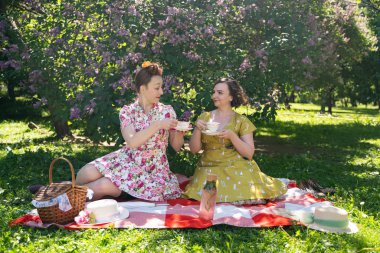 birlikte güneşli bir günde şehir parkında güzel piknik olan bayanlar iki güzel pin up. kızlar arkadaşlar sıcak yaz havası tadını çıkarın. retro vintage tarzı güzel kadın çim üzerinde rahatlatıcı.