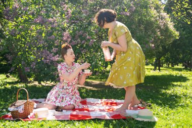 birlikte güneşli bir günde şehir parkında güzel piknik olan bayanlar iki güzel pin up. kızlar arkadaşlar sıcak yaz havası tadını çıkarın. retro vintage tarzı güzel kadın çim üzerinde rahatlatıcı.