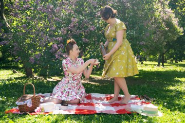 birlikte güneşli bir günde şehir parkında güzel piknik olan bayanlar iki güzel pin up. kızlar arkadaşlar sıcak yaz havası tadını çıkarın. retro vintage tarzı güzel kadın çim üzerinde rahatlatıcı.
