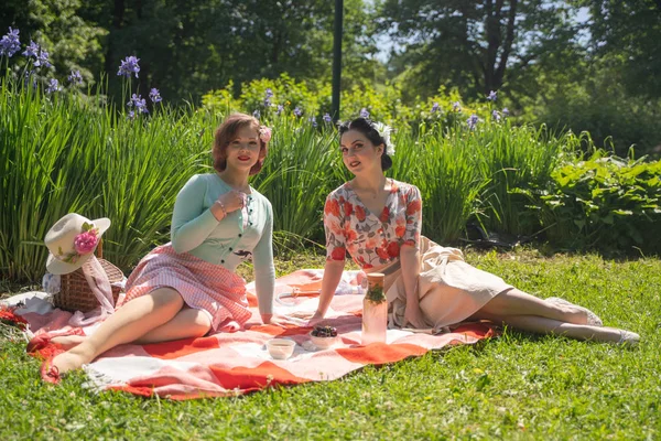 Deux Jolies Pin Dames Ayant Beau Pique Nique Dans Parc — Photo