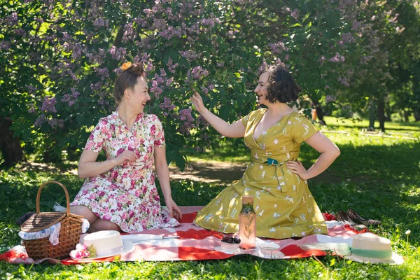 화창한 공원에서 피크닉을 친구는 날씨를 있습니다 복고풍 빈티지 스타일의 아름다운 — 스톡 사진