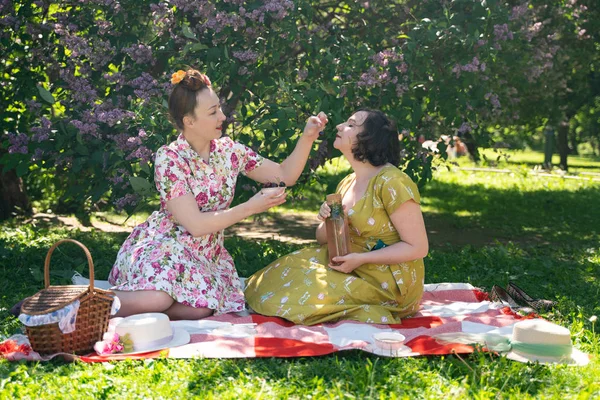 Deux Jolies Pin Dames Ayant Beau Pique Nique Dans Parc — Photo