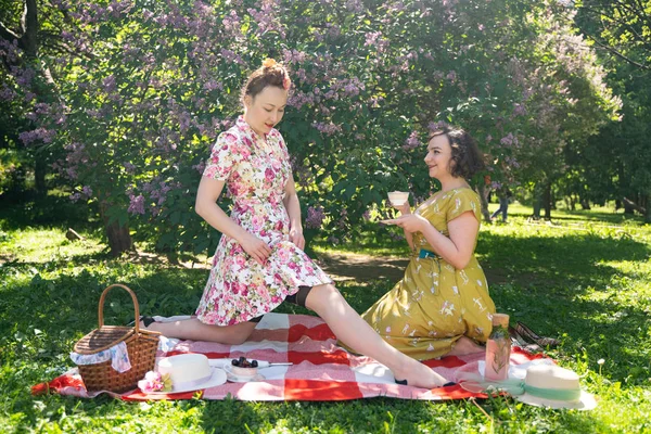 Två Ganska Pin Damer Med Trevlig Picknick Stadsparken Solig Dag — Stockfoto