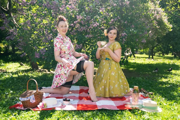 Két Szép Pin Fel Hölgyek Amelyek Szép Piknik Városi Parkban — Stock Fotó