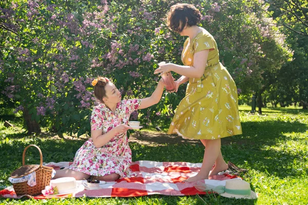 birlikte güneşli bir günde şehir parkında güzel piknik olan bayanlar iki güzel pin up. kızlar arkadaşlar sıcak yaz havası tadını çıkarın. retro vintage tarzı güzel kadın çim üzerinde rahatlatıcı.