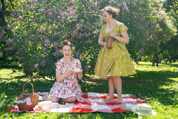 Två Ganska Pin Damer Med Trevlig Picknick Stadsparken Solig Dag — Stockfoto