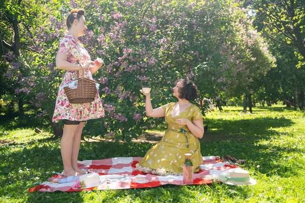 Två Ganska Pin Damer Med Trevlig Picknick Stadsparken Solig Dag — Stockfoto