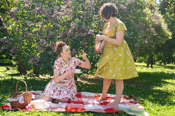 birlikte güneşli bir günde şehir parkında güzel piknik olan bayanlar iki güzel pin up. kızlar arkadaşlar sıcak yaz havası tadını çıkarın. retro vintage tarzı güzel kadın çim üzerinde rahatlatıcı.