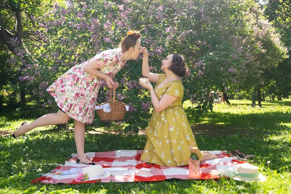 Deux Jolies Pin Dames Ayant Beau Pique Nique Dans Parc — Photo