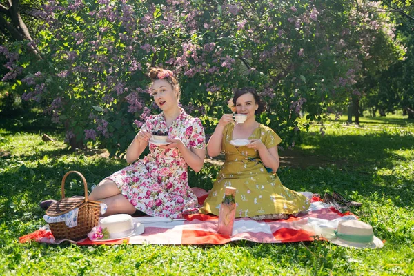 birlikte güneşli bir günde şehir parkında güzel piknik olan bayanlar iki güzel pin up. kızlar arkadaşlar sıcak yaz havası tadını çıkarın. retro vintage tarzı güzel kadın çim üzerinde rahatlatıcı.