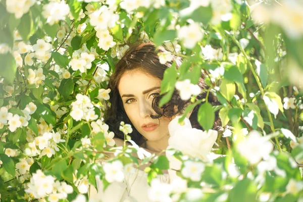 Дівчина стоїть серед кущів жасмину і вдихає аромат квітів — стокове фото