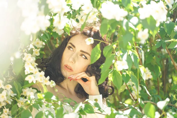 Девушка стоит среди жасминовых кустов и вдыхает аромат цветов — стоковое фото