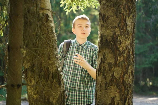 Adolescente menino andando na floresta sozinho no dia de verão — Fotografia de Stock