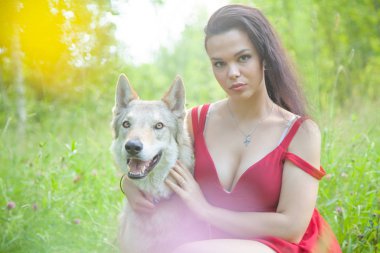 Kurt ve köpek gerçek karışımı hayvan ile Yetişkin güzel model kız