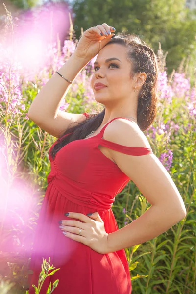 Όμορφη μελαχρινή κορίτσι με κόκκινο φόρεμα που ποζάρει σε ροζ φύση λουλούδια πεδίο — Φωτογραφία Αρχείου