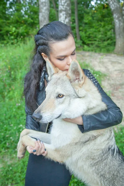 Volwassen mooi model meisje met echte mix dier van Wolf en hond — Stockfoto
