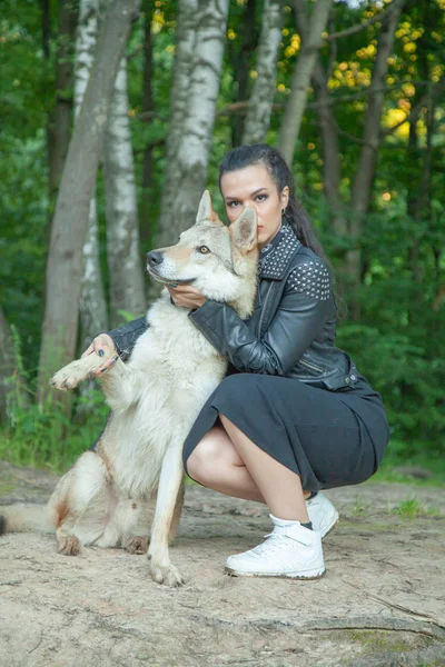 Adulto bonita modelo chica con real mezcla animal de lobo y perro — Foto de Stock