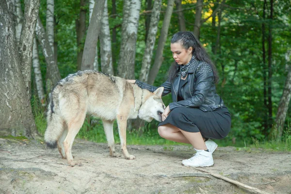 Volwassen mooi model meisje met echte mix dier van Wolf en hond — Stockfoto