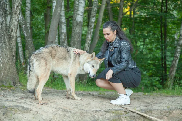 Dospělá dívka modelka s opravdovým směsím vlka a psa — Stock fotografie