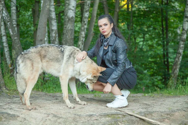 Felnőtt csinos modell lány valódi mix állat a farkas és a kutya — Stock Fotó
