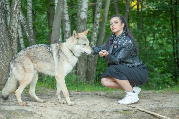 늑대와 강아지의 실제 믹스 동물 성인 예쁜 모델 소녀 — 스톡 사진