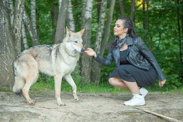 Доросла красива дівчина-модель зі справжньою мікс-тваринкою вовка і собаки — стокове фото