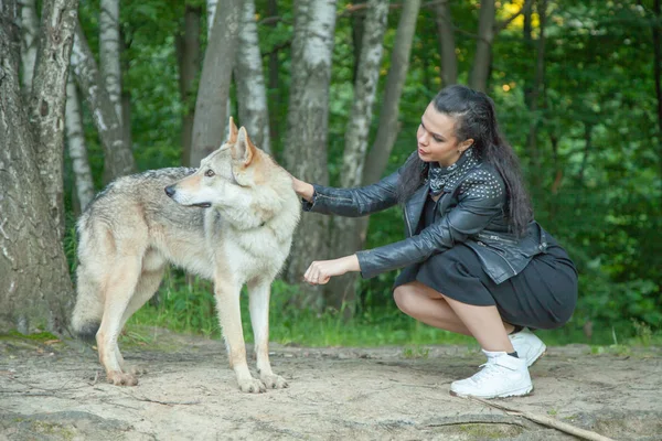 Ενήλικος όμορφο κορίτσι μοντέλο με πραγματικό μίγμα ζώο του λύκου και του σκύλου — Φωτογραφία Αρχείου
