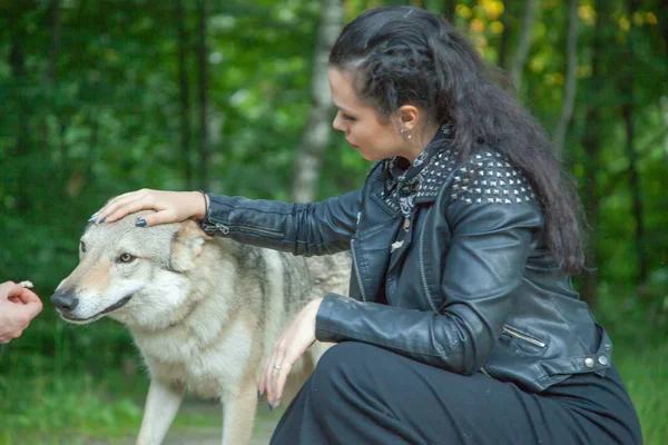 Dospělá dívka modelka s opravdovým směsím vlka a psa — Stock fotografie