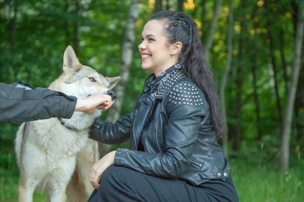 Dospělá dívka modelka s opravdovým směsím vlka a psa — Stock fotografie