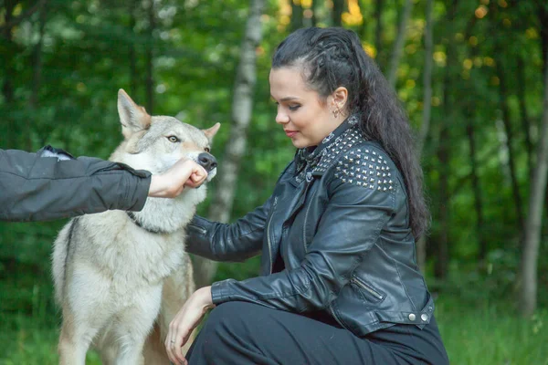 Adulto bonita modelo chica con real mezcla animal de lobo y perro — Foto de Stock