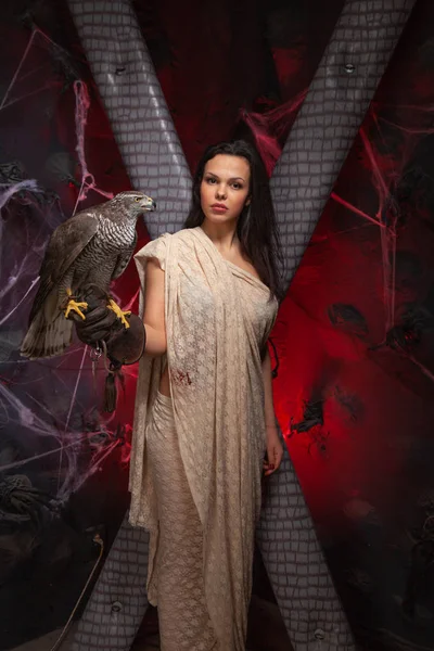 Bellezza bruna ragazza e un falco su oscuro gotico spaventoso studio sfondo — Foto Stock