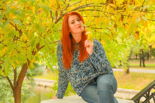 美丽的年轻红发女人在毛衣与秋天的黄叶秋天树 — 图库照片