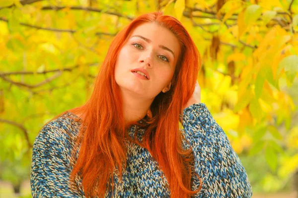 Beautiful young redhead woman in sweater with autumn yellow leaves fall tree — Stock Photo, Image