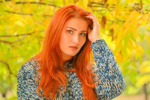 Красивая молодая рыжая женщина в свитере с осенью желтые листья падают дерево — стоковое фото