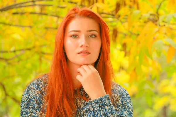 Красивая молодая рыжая женщина в свитере с осенью желтые листья падают дерево — стоковое фото