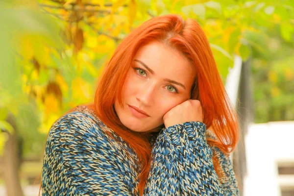Hermosa joven pelirroja en suéter con hojas amarillas de otoño árbol de otoño —  Fotos de Stock