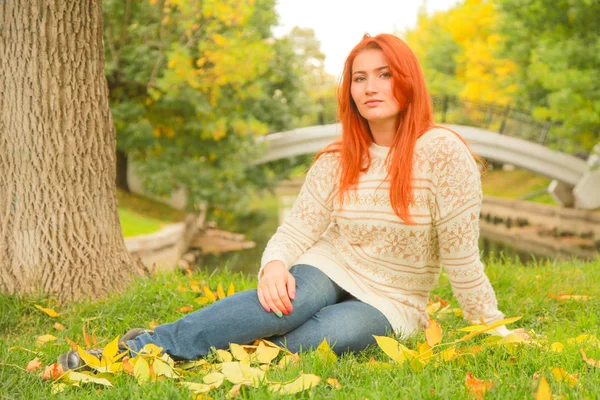 Rothaarige Frau in einem warmen weißen Herbstpullover, die auf dem Boden neben einem Baum in einem Stadtpark sitzt — Stockfoto