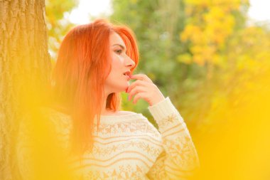 sarı sonbahar yaprakları yakınında sıcak sonbahar kazak güzel genç kadın ile yakın çekim portre açık