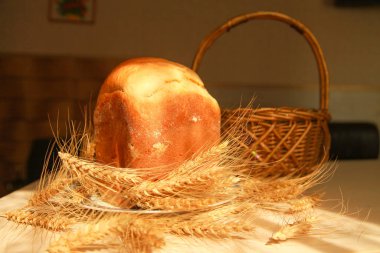 doğal ışık ve güneş ile katta taze ekmek ve buğday