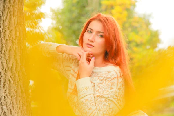 Портрет крупным планом на открытом воздухе с красивой молодой женщиной в теплом осеннем свитере возле желтых осенних листьев — стоковое фото