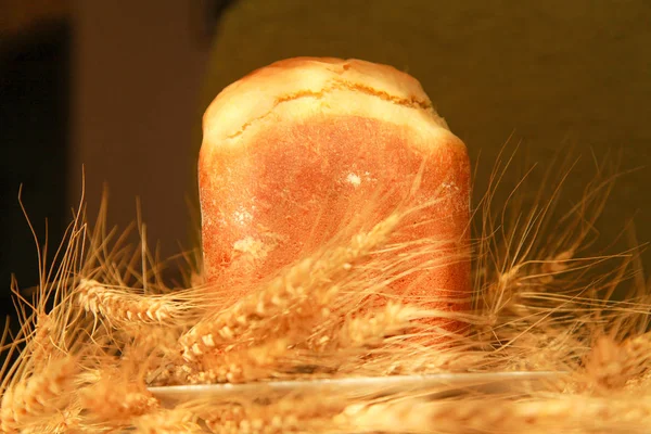 Pão fresco e trigo no chão com luz natural e sol — Fotografia de Stock