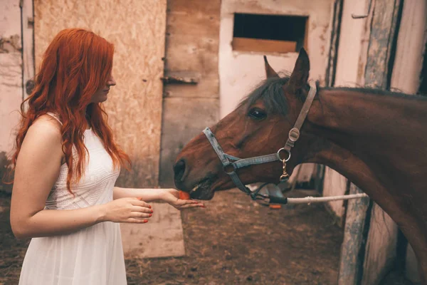 美丽的女孩与她的马喂养胡萝卜 — 图库照片