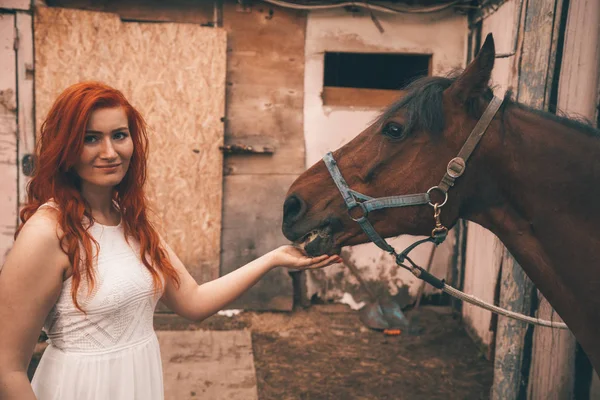 Όμορφο κορίτσι με το άλογό της τάισμα με καρότο — Φωτογραφία Αρχείου