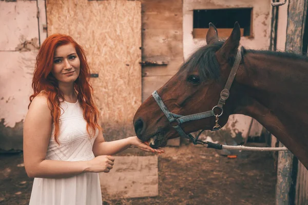 Schöne Mädchen mit ihrem Pferd Fütterung durch Karotte — Stockfoto